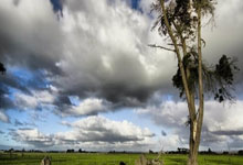 雷竞技官网：不必妖魔化国足的归化努力.