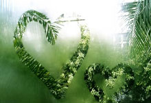 雷竞技官网：[棋牌]奇略研究所：人类对棋形认知正确吗？ AI眼中的要点.