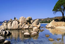 [CBA]季后赛4月29日：浙江VS上海 吴前集锦.